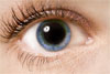 Learning French image - eye